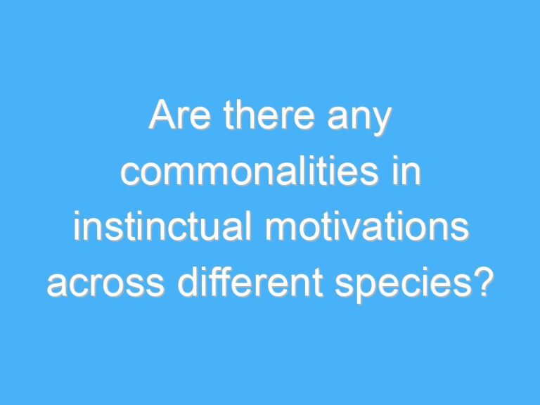 Are there any commonalities in instinctual motivations across different species?