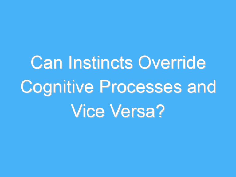 Can Instincts Override Cognitive Processes and Vice Versa?