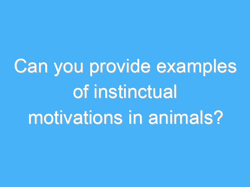 can you provide examples of instinctual motivations in animals 2451 2