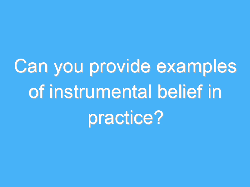 can you provide examples of instrumental belief in practice 2476 1