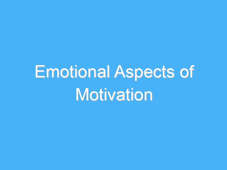 Emotional Aspects of Motivation