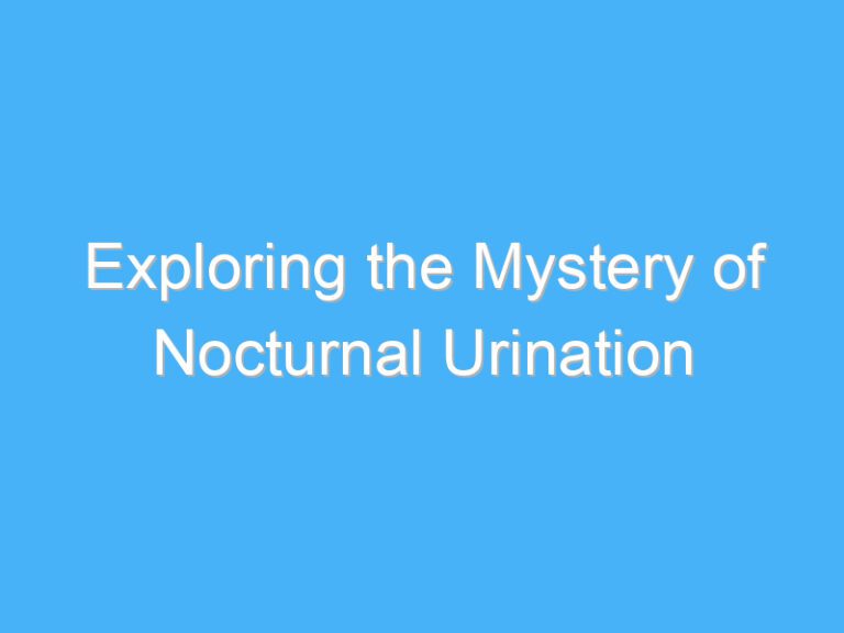 Exploring the Mystery of Nocturnal Urination
