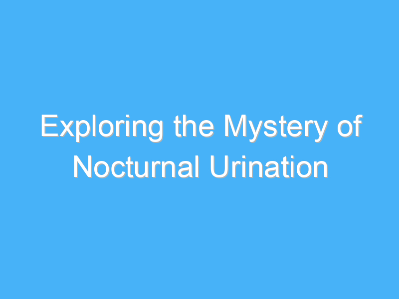 exploring the mystery of nocturnal urination 1054