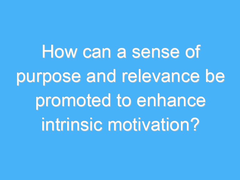 How can a sense of purpose and relevance be promoted to enhance intrinsic motivation?