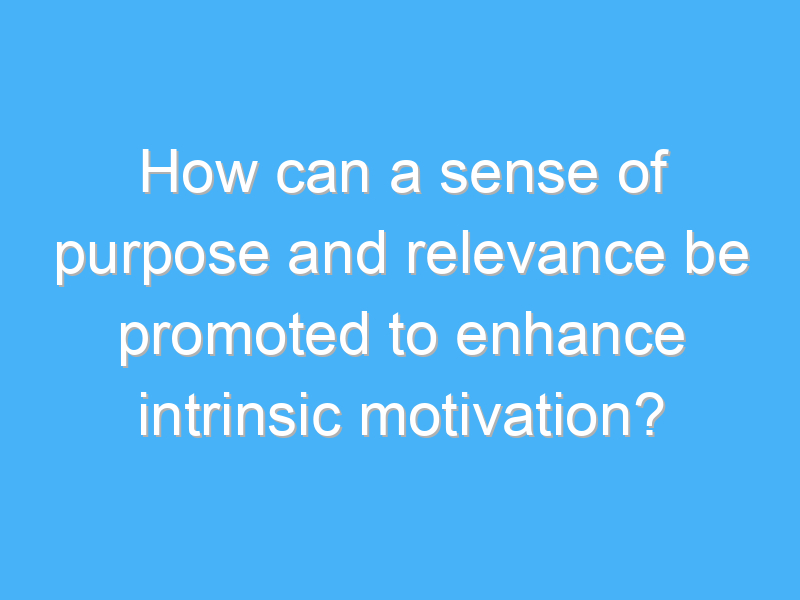 how can a sense of purpose and relevance be promoted to enhance intrinsic motivation 2863 1