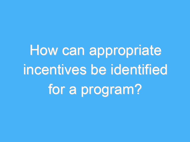 How can appropriate incentives be identified for a program?