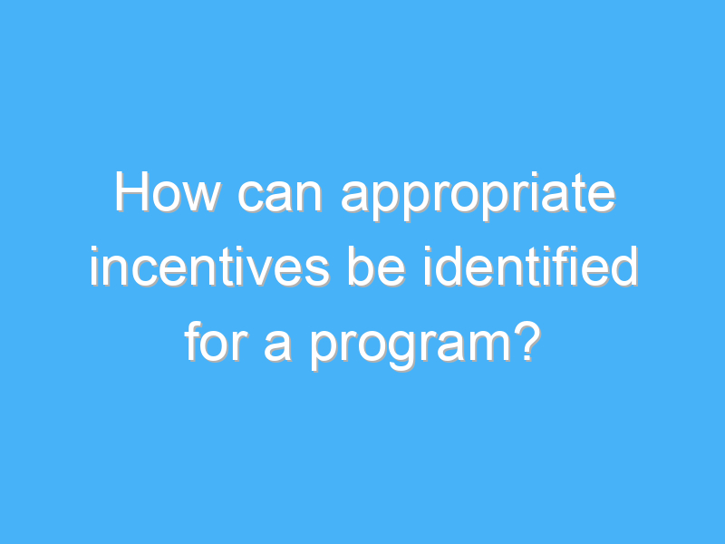 how can appropriate incentives be identified for a program 2303 3