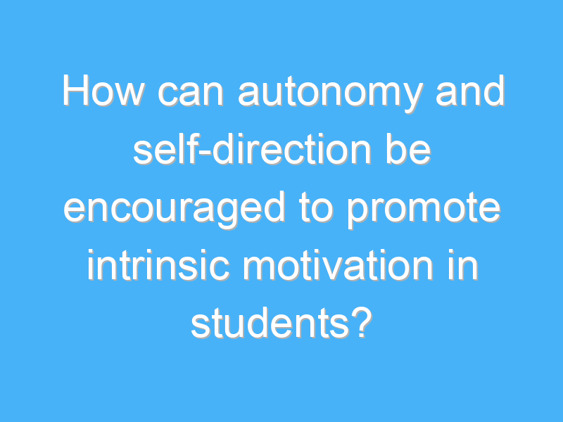 how can autonomy and self direction be encouraged to promote intrinsic motivation in students 2119