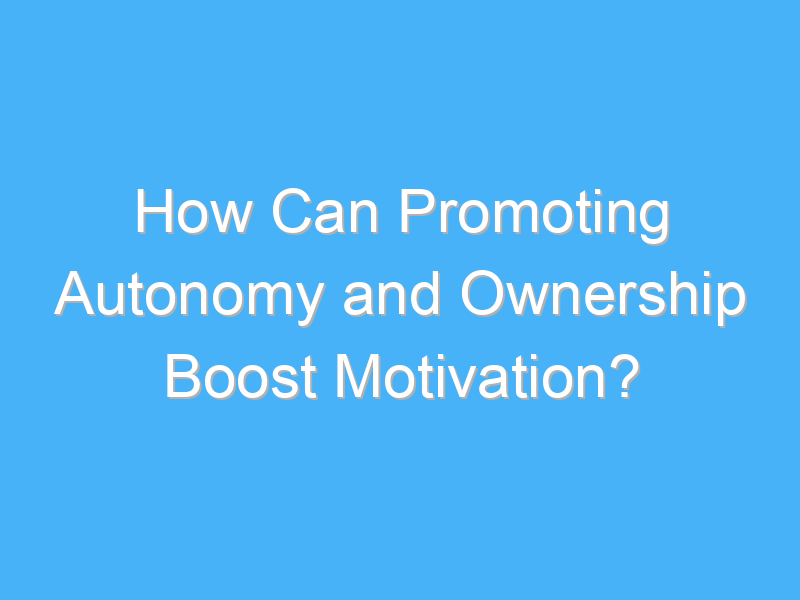 how can promoting autonomy and ownership boost motivation 1909