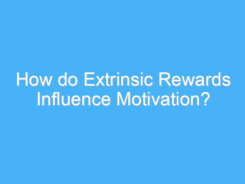how do extrinsic rewards influence motivation 1707