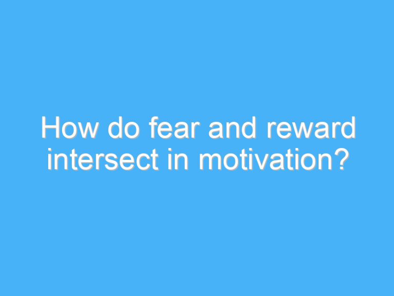How do fear and reward intersect in motivation?