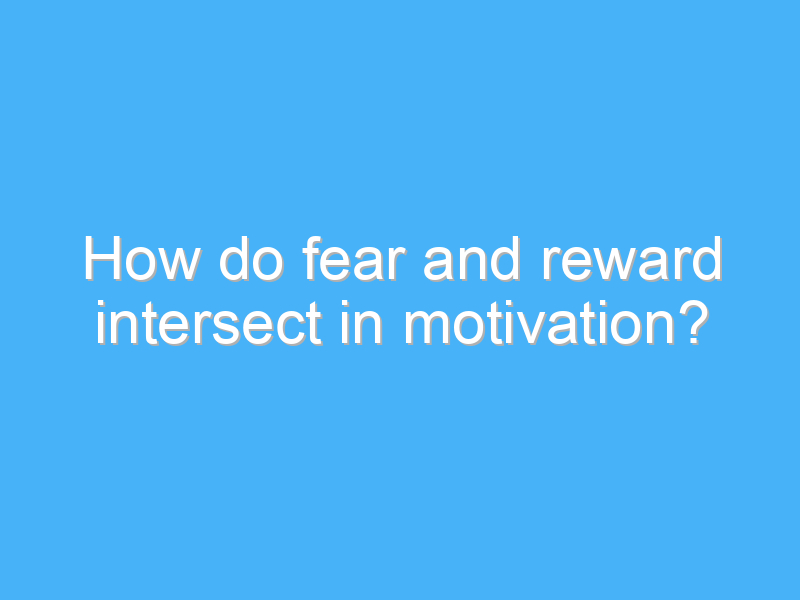 how do fear and reward intersect in motivation 3111