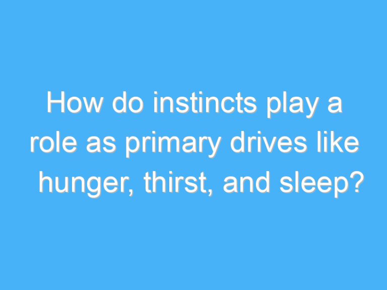 How do instincts play a role as primary drives like hunger, thirst, and sleep?