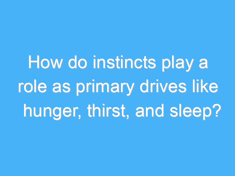 how do instincts play a role as primary drives like hunger thirst and sleep 3174 1