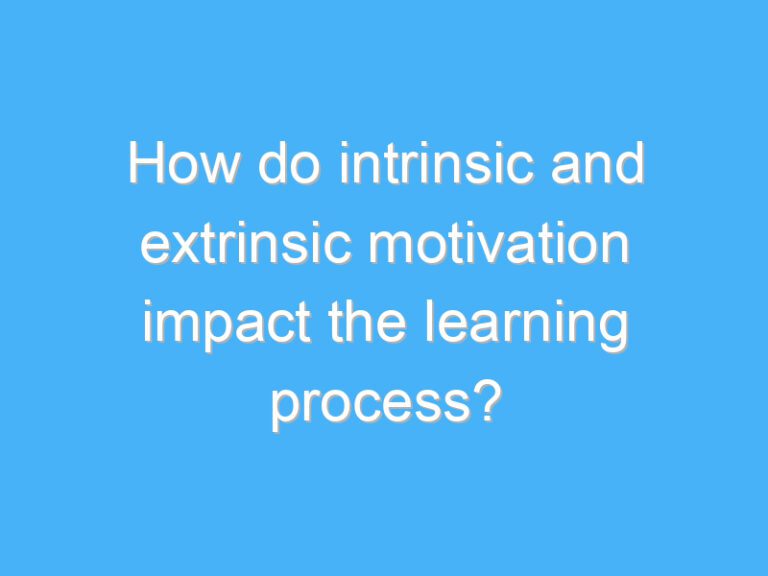 How do intrinsic and extrinsic motivation impact the learning process?