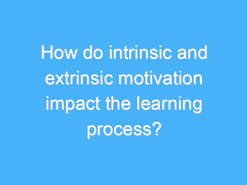 how do intrinsic and extrinsic motivation impact the learning process 2551
