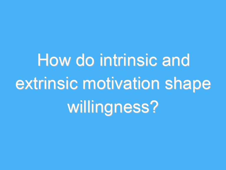 How do intrinsic and extrinsic motivation shape willingness?