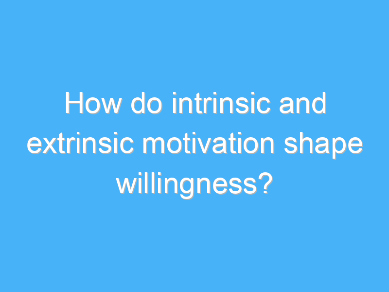 how do intrinsic and extrinsic motivation shape willingness 2072