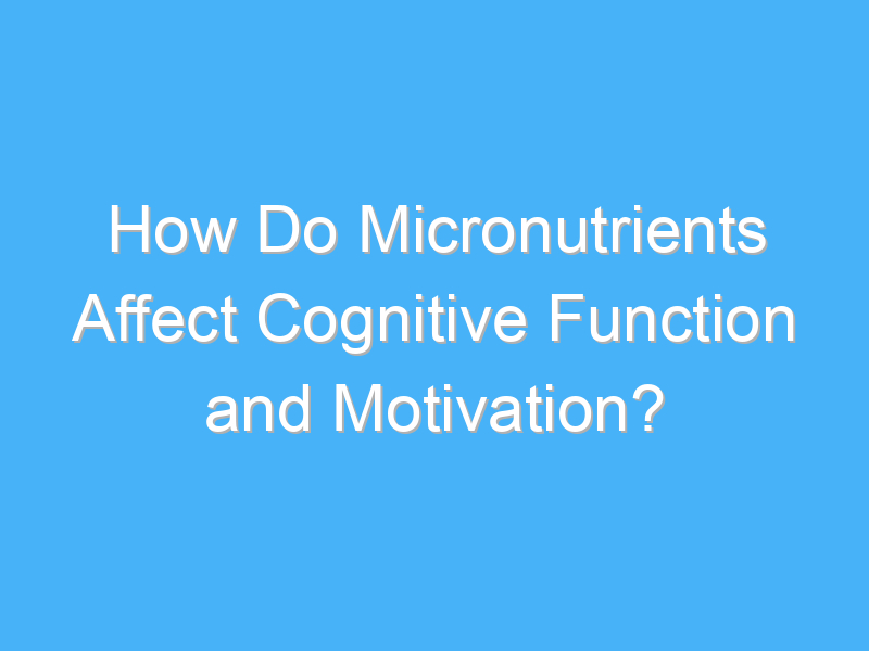 how do micronutrients affect cognitive function and motivation 3016