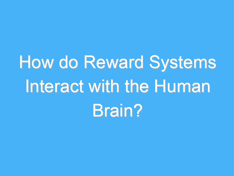 how do reward systems interact with the human brain 1781