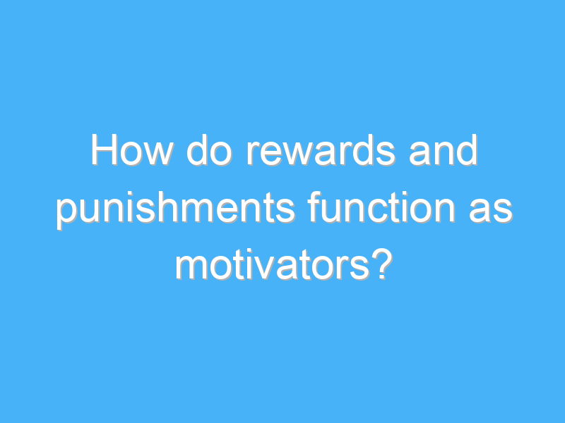 how do rewards and punishments function as motivators 3078 3
