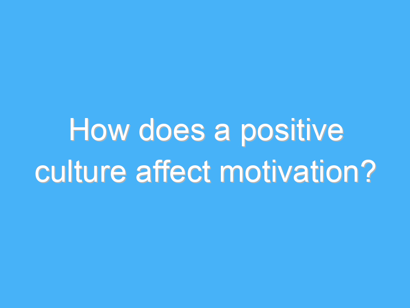 how does a positive culture affect motivation 2994