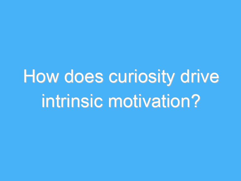 How does curiosity drive intrinsic motivation?