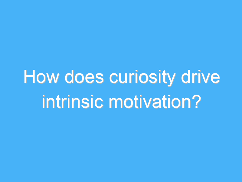 how does curiosity drive intrinsic motivation 1813