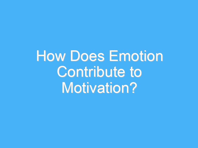 How Does Emotion Contribute to Motivation?