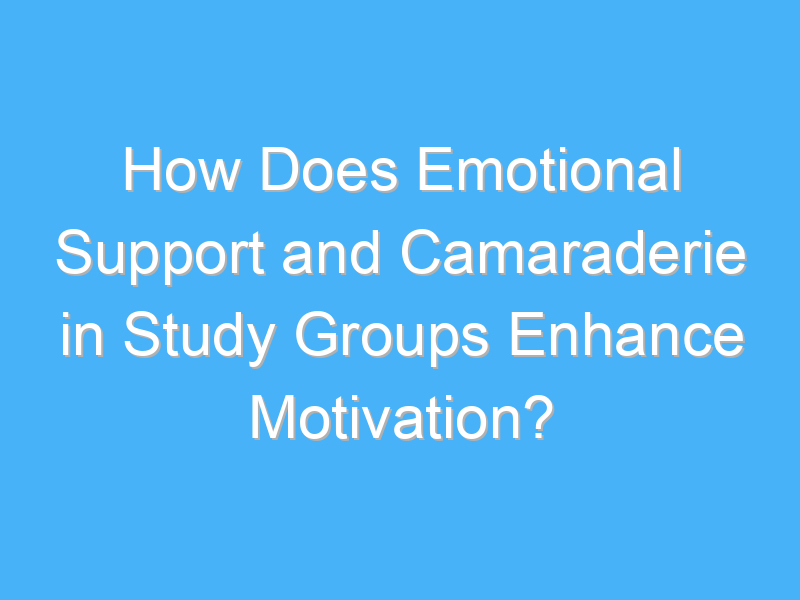 how does emotional support and camaraderie in study groups enhance motivation 2640