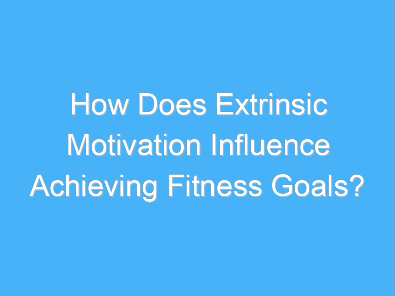 how does extrinsic motivation influence achieving fitness goals 2353