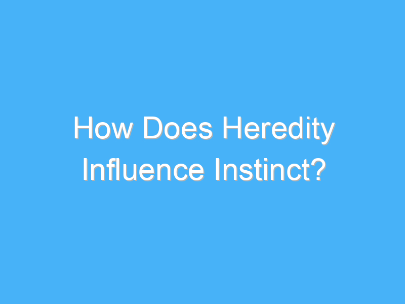 how does heredity influence instinct 2719