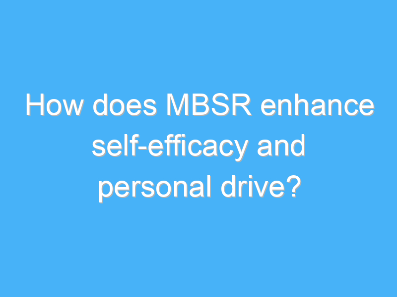 how does mbsr enhance self efficacy and personal drive 1915 3
