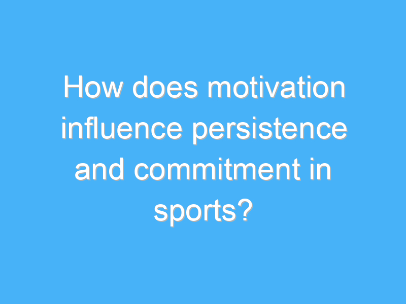 how does motivation influence persistence and commitment in sports 2383 2