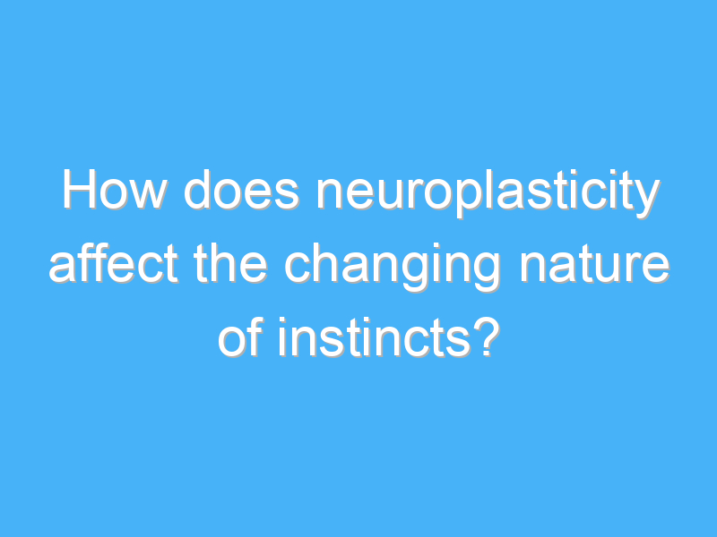 how does neuroplasticity affect the changing nature of instincts 2927 2
