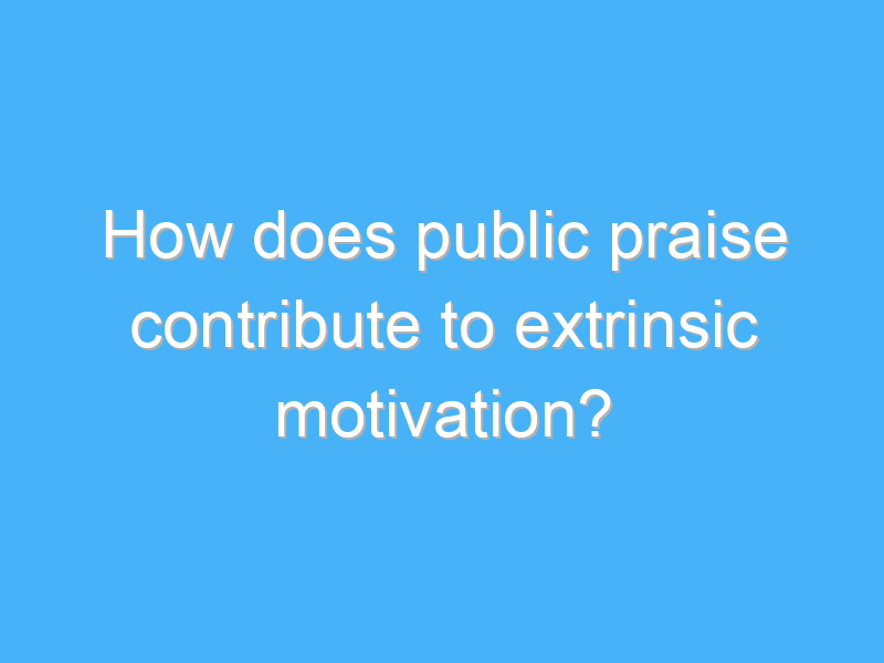 how does public praise contribute to extrinsic motivation 2982 2