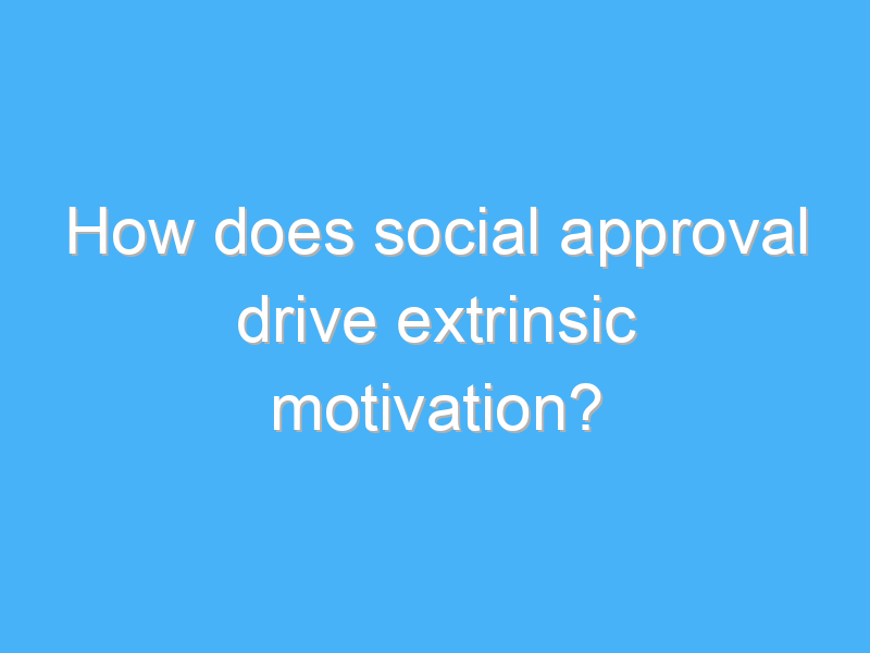 how does social approval drive extrinsic motivation 2564