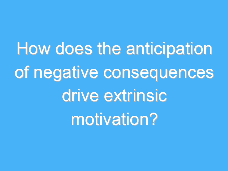 how does the anticipation of negative consequences drive extrinsic motivation 1946 2