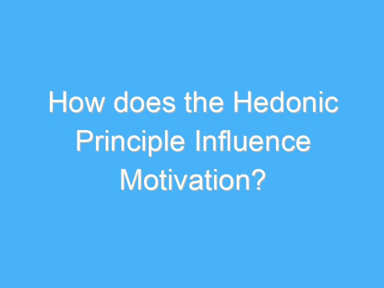 How does the Hedonic Principle Influence Motivation?