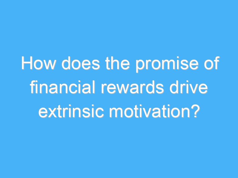 How does the promise of financial rewards drive extrinsic motivation?