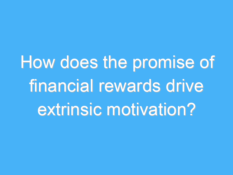how does the promise of financial rewards drive extrinsic motivation 2009 2