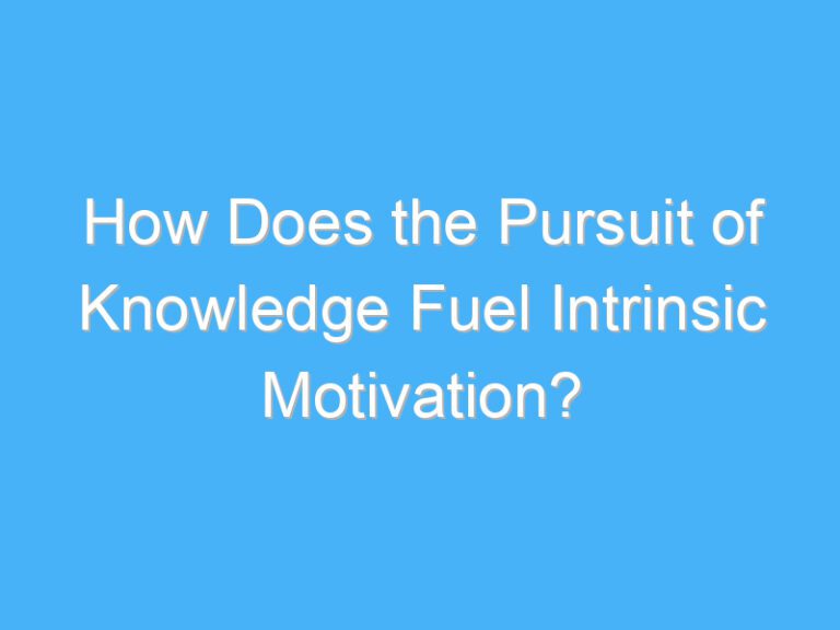 How Does the Pursuit of Knowledge Fuel Intrinsic Motivation?