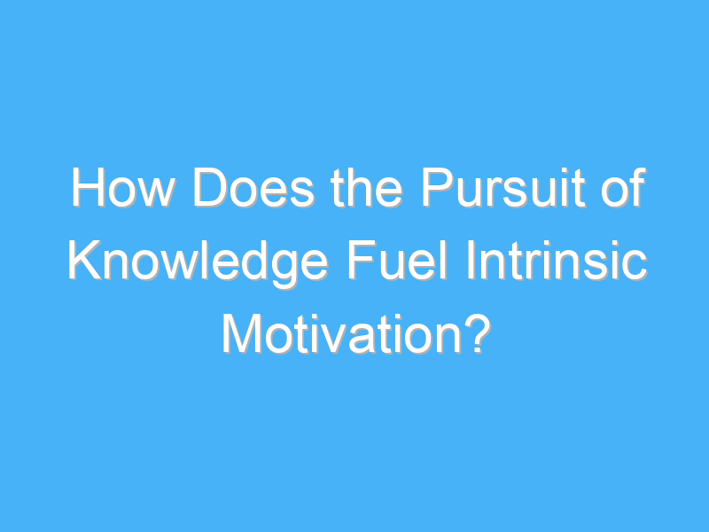 how does the pursuit of knowledge fuel intrinsic motivation 2394