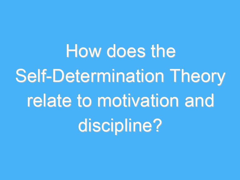 How does the Self-Determination Theory relate to motivation and discipline?