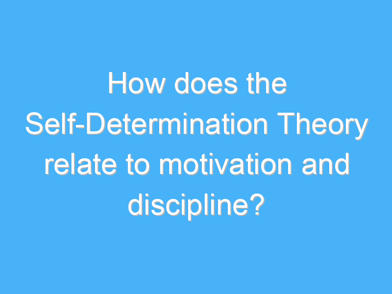 how does the self determination theory relate to motivation and discipline 2309