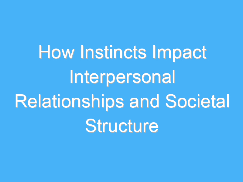 how instincts impact interpersonal relationships and societal structure 3107 3