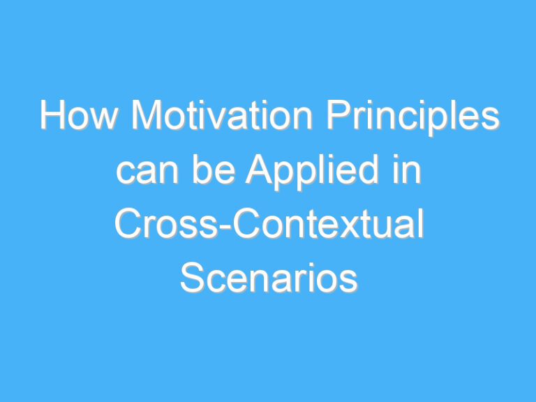 How Motivation Principles can be Applied in Cross-Contextual Scenarios