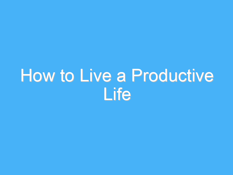 how to live a productive life 1052
