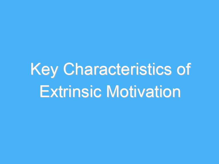 Key Characteristics of Extrinsic Motivation