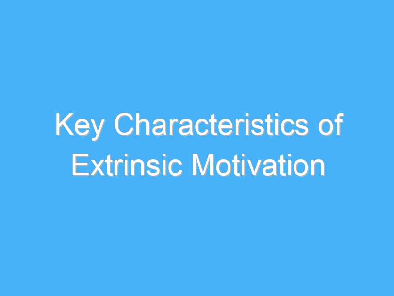 key characteristics of extrinsic motivation 2370